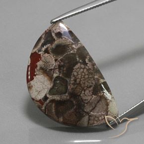 20.05ct Naturale Multicolore Diaspro, Taglio a fantasia, Opaco