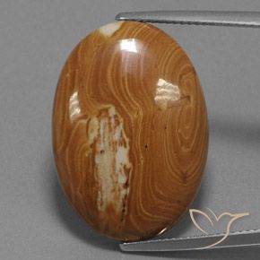 19.27ct Naturale Multicolore Diaspro, Ovale, Opaco