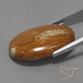 Diaspro Multicolore naturale da 19.27 ct, Ovale, Opaco