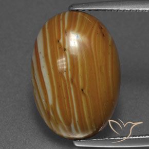 8.92ct Naturale Multicolore Diaspro, Ovale, Opaco