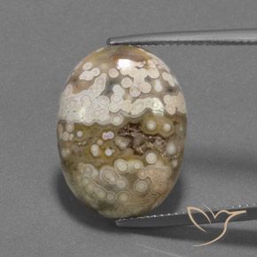 13.09ct Naturale Multicolore Diaspro, Ovale, Opaco