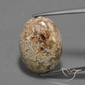 15.73ct Naturale Multicolore Diaspro, Ovale, Opaco
