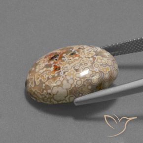 Diaspro Multicolore naturale da 15.73 ct, Ovale, Opaco