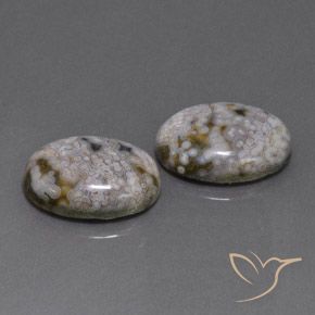 Gemme di Diaspro Multicolore naturale da 26.88 ct, Ovale, Opaco