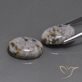 Gemme di Diaspro Multicolore naturale da 26.88 ct, Ovale, Opaco