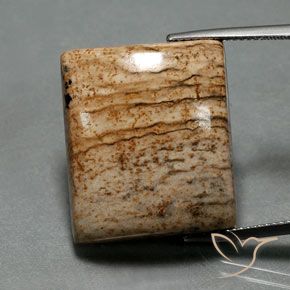 32.30ct Naturale Multicolore Diaspro, Taglio a baguette, Opaco