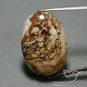 37.73ct Naturale Multicolore Diaspro, Ovale, Opaco