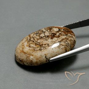 Diaspro Multicolore naturale da 37.73 ct, Ovale, Opaco