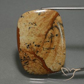 27.74ct Naturale Multicolore Diaspro, Cuscino, Opaco