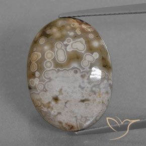 12.72ct Naturale Multicolore Diaspro, Ovale, Opaco