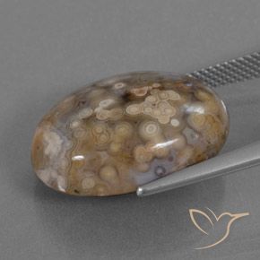 Diaspro Multicolore naturale da 15.78 ct, Ovale, Opaco
