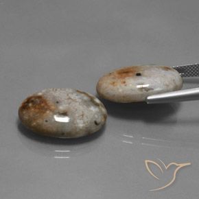 Gemme di Diaspro Multicolore naturale da 26.60 ct, Ovale, Opaco