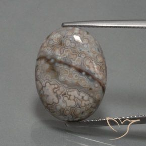 12.39ct Naturale Multicolore Diaspro, Ovale, Opaco