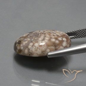Diaspro Multicolore naturale da 14.73 ct, Ovale, Opaco