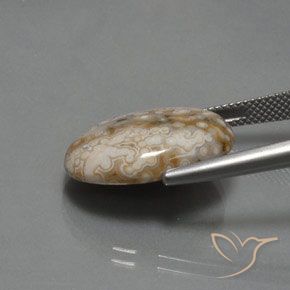 Diaspro Multicolore naturale da 11.83 ct, Ovale, Opaco