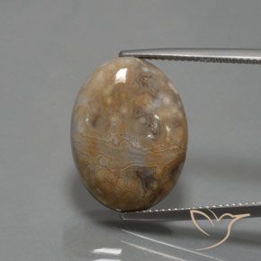 15.30ct Naturale Multicolore Diaspro, Ovale, Opaco
