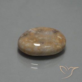 Diaspro Multicolore naturale da 15.30 ct, Ovale, Opaco