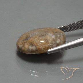 Diaspro Multicolore naturale da 15.30 ct, Ovale, Opaco