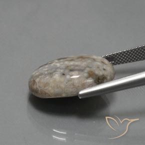 Diaspro Multicolore naturale da 14.48 ct, Ovale, Opaco