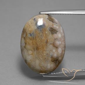 13.80ct Naturale Multicolore Diaspro, Ovale, Opaco