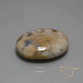Diaspro Multicolore naturale da 13.80 ct, Ovale, Opaco