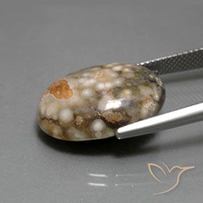 Diaspro Multicolore naturale da 14.34 ct, Ovale, Opaco