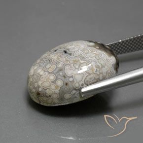 Diaspro Multicolore naturale da 18.17 ct, Ovale, Opaco