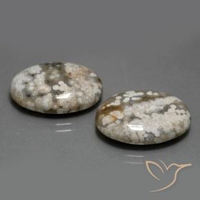 Gemme di Diaspro Multicolore naturale da 22.46 ct, Ovale, Opaco