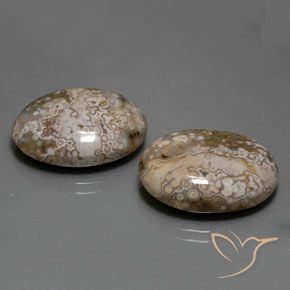 Gemme di Diaspro Multicolore naturale da 25.60 ct, Ovale, Opaco