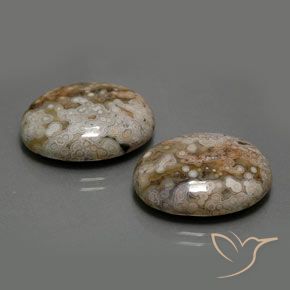 Gemme di Diaspro Multicolore naturale da 26.33 ct, Ovale, Opaco