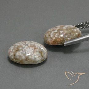 Gemme di Diaspro Multicolore naturale da 21.62 ct, Ovale, Opaco