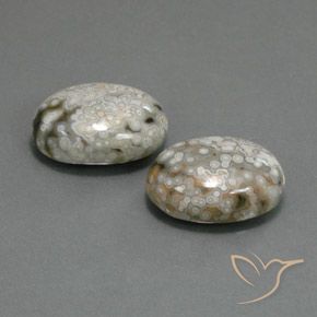 Gemme di Diaspro Multicolore naturale da 23.48 ct, Ovale, Opaco