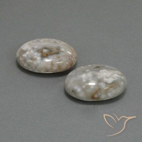 Gemme di Diaspro Multicolore naturale da 18.63 ct, Ovale, Opaco