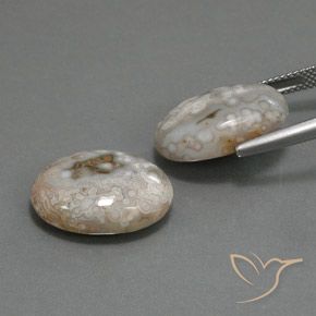 Gemme di Diaspro Multicolore naturale da 18.63 ct, Ovale, Opaco