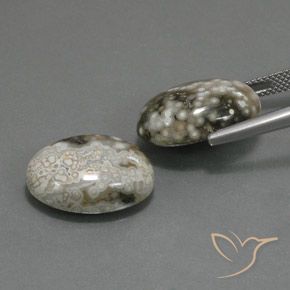 Gemme di Diaspro Multicolore naturale da 22.45 ct, Ovale, Opaco