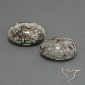 Gemme di Diaspro Multicolore naturale da 25.02 ct, Ovale, Opaco
