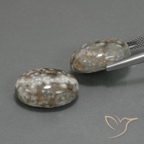 Gemme di Diaspro Multicolore naturale da 25.02 ct, Ovale, Opaco