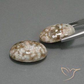 Gemme di Diaspro Multicolore naturale da 19.64 ct, Ovale, Opaco