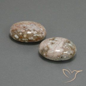 Gemme di Diaspro Multicolore naturale da 21.58 ct, Ovale, Opaco