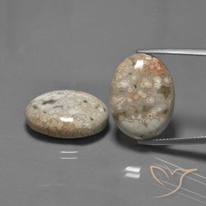 27.89ctw Naturale Multicolore Diaspro, Ovale, Opaco