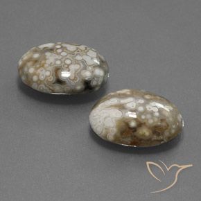 Gemme di Diaspro Multicolore naturale da 15.34 ct, Ovale, Opaco