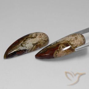 Gemme di Diaspro Multicolore naturale da 34.78 ct, Taglio a fantasia, Opaco