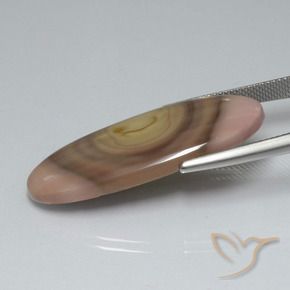 Diaspro Multicolore naturale da 17.33 ct, Ovale, Opaco