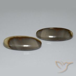 Gemme di Diaspro Multicolore naturale da 52.70 ct, Ovale, Opaco
