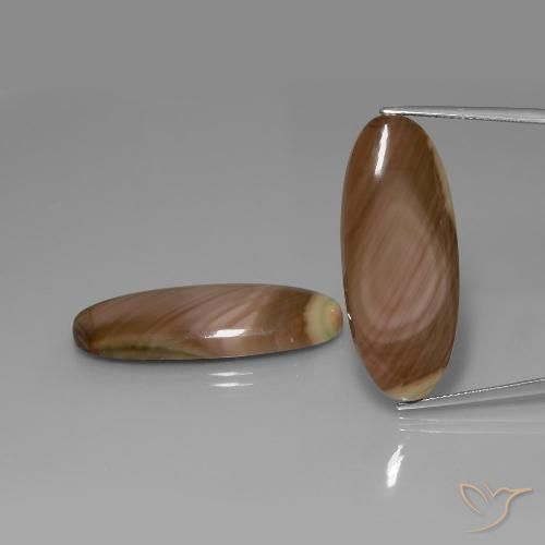 Gemme di Diaspro Multicolore naturale da 39.05 ct, Ovale, Opaco