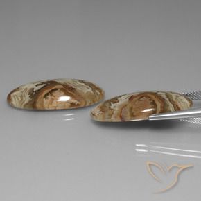 Gemme di Diaspro Multicolore naturale da 30.99 ct, Ovale, Opaco