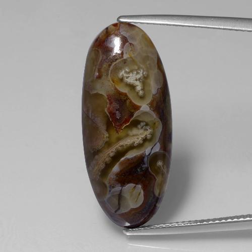 Diaspro Multicolore naturale da 13.46 ct, Taglio ovale, Opaco
