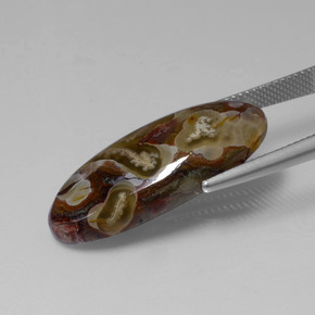 Diaspro Multicolore naturale da 13.46 ct, Taglio ovale, Opaco