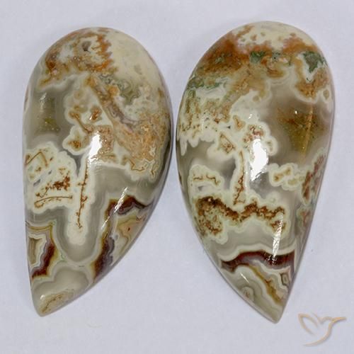 Gemme di Diaspro Multicolore naturale da 21.08 ct, Taglio a fantasia, Opaco