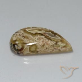 Diaspro Multicolore naturale da 11.24 ct, Taglio a fantasia, Opaco